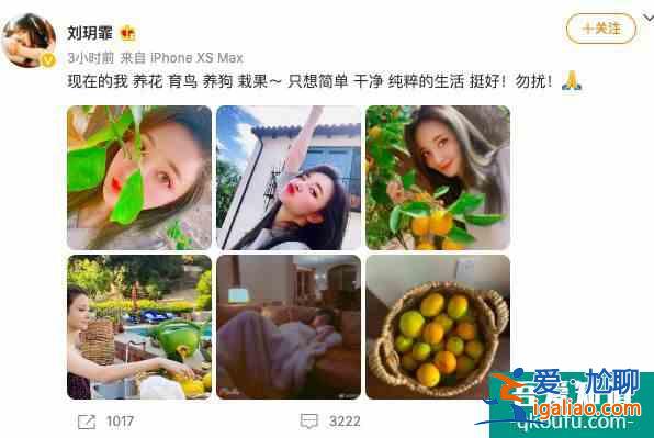劉雨欣回應(yīng)張檬道歉 表現(xiàn)生活挺好不想被打攪？