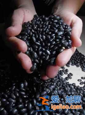 【去巴西看世界杯】只看球？吃什么？？