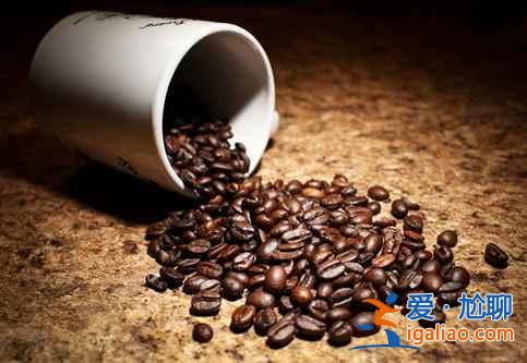 【去巴西看世界杯】只看球？吃什么？？