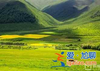 2017門源油菜花花期，2017門源油菜花幾月開？