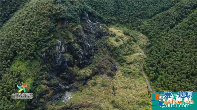 《溫暖有光放映隊》第七期：走遍安吉的綠水青山？