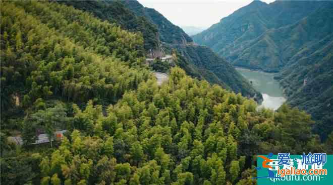 《溫暖有光放映隊》第七期：走遍安吉的綠水青山？