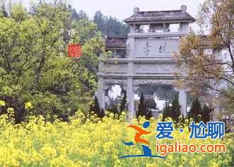 油菜花哪里最好看,國內(nèi)賞油菜花地圖? 油菜花哪里最好看,國內(nèi)賞油菜花地圖?