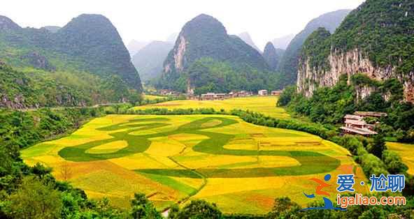 油菜花哪里最好看,國內(nèi)賞油菜花地圖? 油菜花哪里最好看,國內(nèi)賞油菜花地圖?