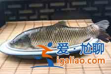 紅燒草魚？