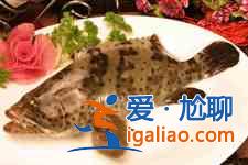 清蒸石斑魚？