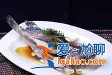 清蒸石斑魚？