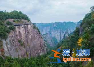 2018仙居薰衣草什么時候開，一起去仙居看薰衣草？
