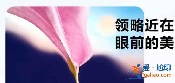榮耀play5有防抖功能嗎？