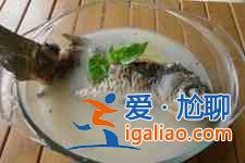 清燉鯽魚湯的做法？