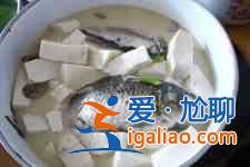 鯽魚豆腐湯的做法？