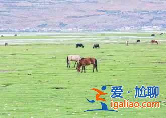 畢業(yè)旅行好去處，2018國內畢業(yè)旅行的最佳去處？
