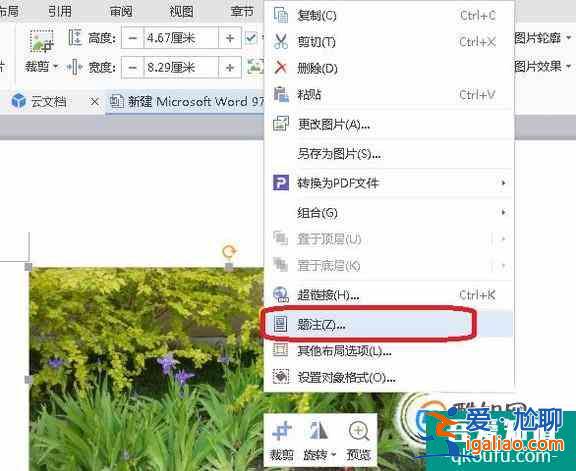 文檔如何插入題注和引用圖注？？