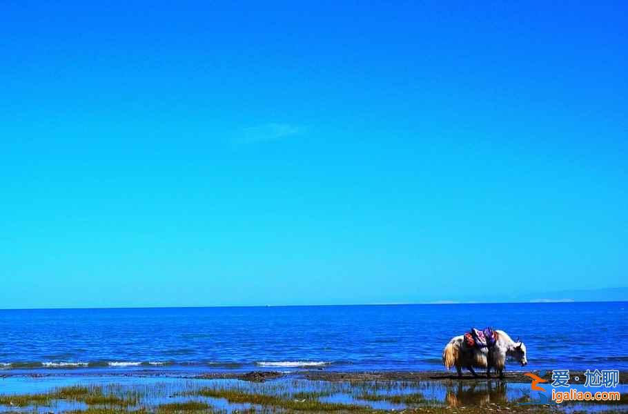 【騎行青海湖最佳時(shí)間】環(huán)青海湖騎行需要幾天，青海湖騎行路線+攻略？