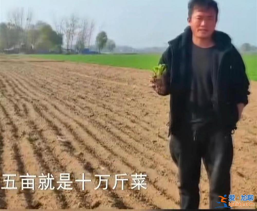 網(wǎng)傳山東曹縣芹菜出現(xiàn)大面積滯銷、菜農(nóng)無奈將菜打碎 官方回應(yīng)？