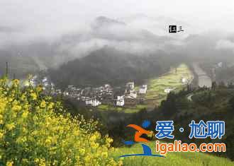 2017石潭油菜花什么時候開，2017石潭油菜花賞花攻略？