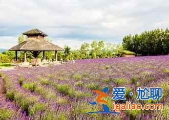 冬天去北海道玩什么?滑雪、溫泉、冰雪祭? 冬天去北海道玩什么?滑雪、溫泉、冰雪祭?