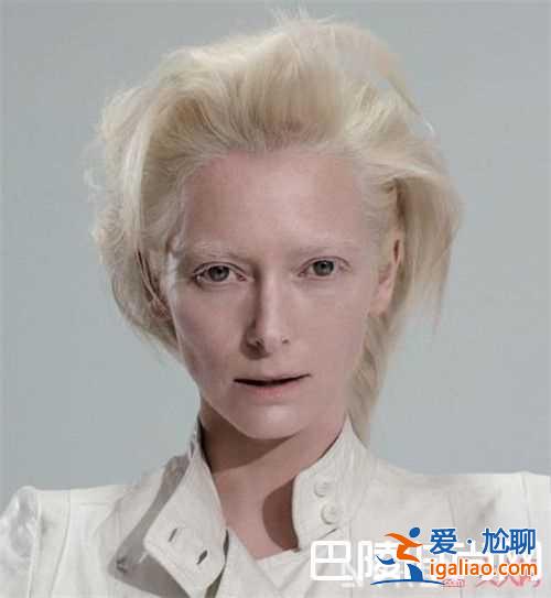 妮可·基德曼介紹 朱莉婭·羅伯茨介紹朱迪·福斯特介紹蒂爾達·斯文頓介紹伊莎貝爾·于佩爾介紹梅麗爾·斯？