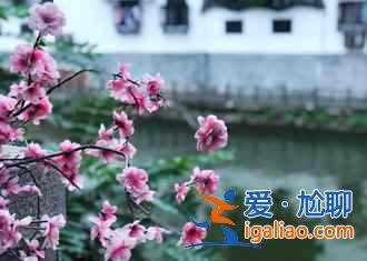 【五一高鐵游】沿途美景不斷的高鐵線，邊走邊看??？