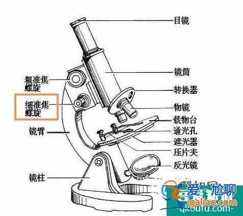 使用顯微鏡的五個(gè)基本步驟？