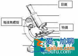 使用顯微鏡的五個(gè)基本步驟？