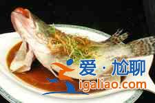 清蒸桂魚的做法？