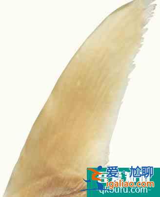 2021年湖南特色菜 盤點湘菜的最新特色菜？