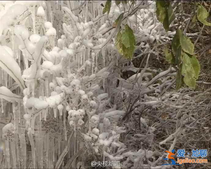 延慶今年冬天冷嗎？北京延慶現(xiàn)冰瀑景觀？