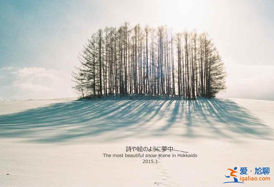 北海道幾月可以滑雪,北海道最佳滑雪時間? 北海道幾月可以滑雪,北海道最佳滑雪時間?
