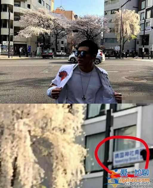張哲瀚微博以及工作室微博均被封號 各大官媒點名批評