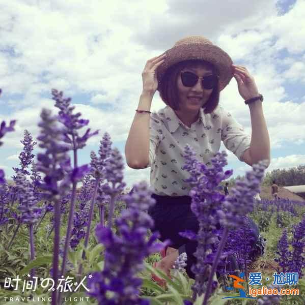 【南京薰衣草莊園開花時間】2018南京薰衣草莊園什么時候開花,南京薰衣草莊園開花時間? 【南京薰衣草莊園開花時間】2018南京薰衣草莊園什么時候開花,南京薰衣草莊園開花時間?