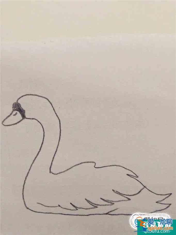 畫白天鵝的簡筆畫？