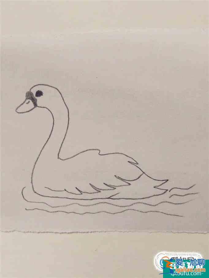 畫白天鵝的簡筆畫？