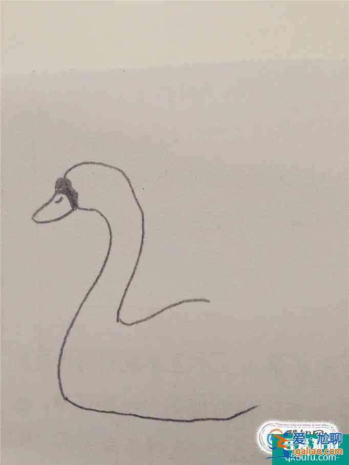 畫白天鵝的簡筆畫？