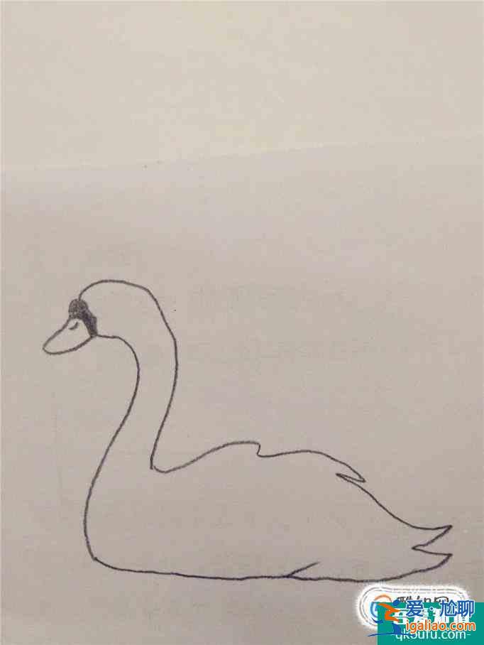 畫白天鵝的簡筆畫？