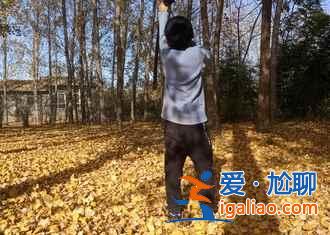 菏澤牡丹園門票，山東菏澤牡丹園怎么去？