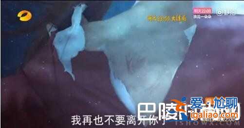 楚喬傳大結(jié)局：星玥夫婦結(jié)局如何？楚喬傳2還會(huì)開拍？？