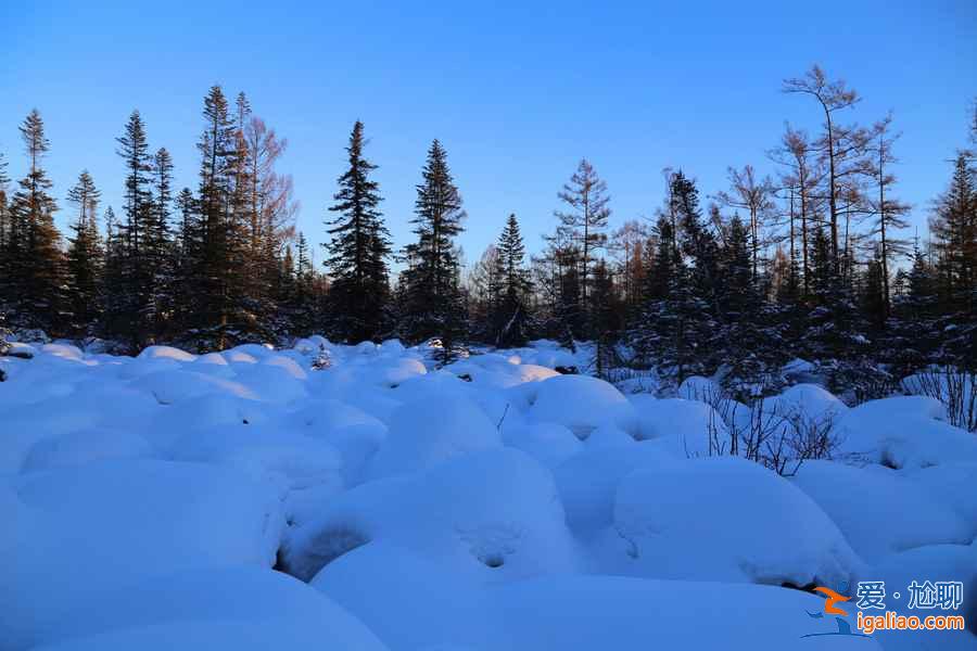 冬天去哪看雪好？冬天哪里的雪景最漂亮？中國最美雪景在哪里？？