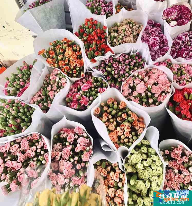 薅羊毛十元一把買(mǎi)花八卦嶺花卉市場(chǎng)？