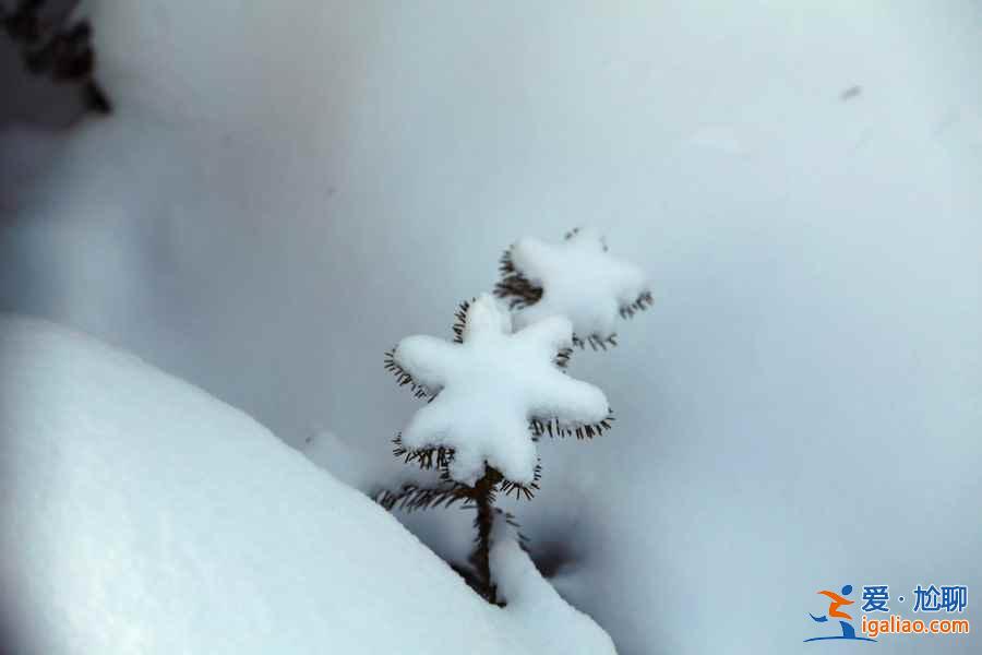 冬天去哪看雪好？冬天哪里的雪景最漂亮？中國最美雪景在哪里？？