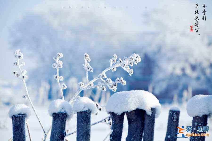 冬天去哪看雪好？冬天哪里的雪景最漂亮？中國最美雪景在哪里？？