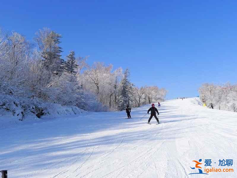 【門票】亞布力滑雪場(chǎng)門票價(jià)格，亞布力滑雪場(chǎng)門票多少錢，亞布力滑雪場(chǎng)開放時(shí)間？