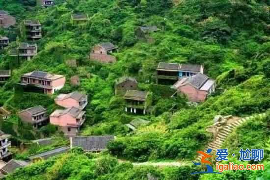 舟山村民遺棄小島20年，小島自然生長恍如仙境？