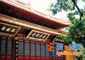 舟山村民遺棄小島20年，小島自然生長恍如仙境？