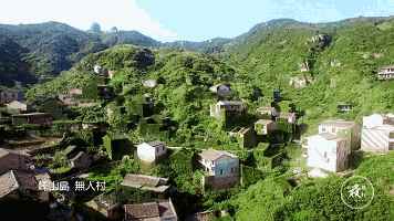 舟山村民遺棄小島20年，小島自然生長恍如仙境？