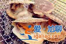 扇貝的做法大全？