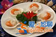 扇貝的做法大全？
