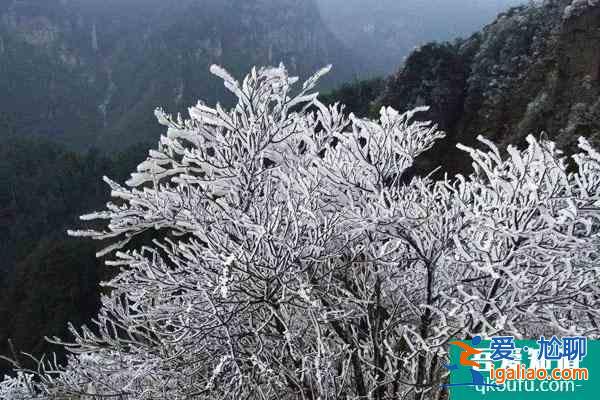 2022南寧大明山霧凇觀賞攻略 附最佳觀賞點(diǎn)推薦？