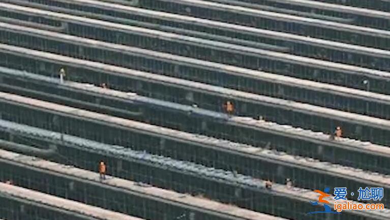 鄭州在重點文物單位建方艙被叫停，工人們已經(jīng)逐步撤離[建設(shè)方艙]？