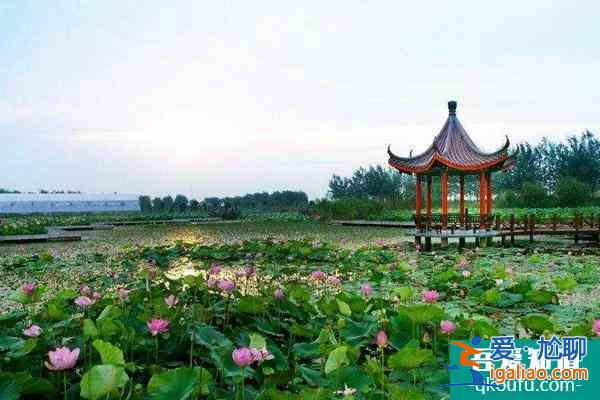2021泗洪洪澤湖濕地加強(qiáng)疫情防控通知？
